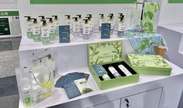 山野“小辛香”如何迈向“大市场”AG真人一颗山苍子的新生:粤北(图1) 山野“小辛香”如何迈向“大市场”AG真人一颗山苍子的新生:粤北(图1)