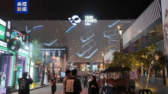 天：距离中国7000公里遍地黄金与荆棘AG真人中国我在最土豪的游戏市场待了3(图14)