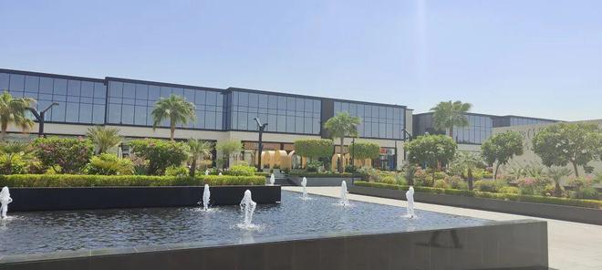 天：距离中国7000公里遍地黄金与荆棘AG真人中国我在最土豪的游戏市场待了3(图21)