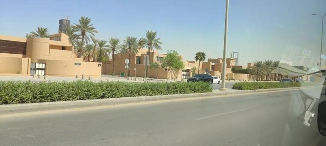 天：距离中国7000公里遍地黄金与荆棘AG真人中国我在最土豪的游戏市场待了3(图45)